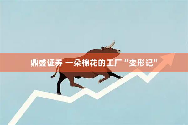鼎盛证券 一朵棉花的工厂“变形记”