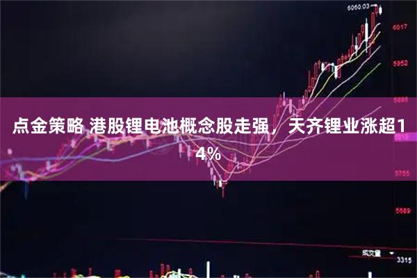 点金策略 港股锂电池概念股走强，天齐锂业涨超14%