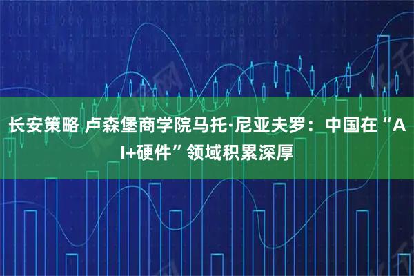 长安策略 卢森堡商学院马托·尼亚夫罗：中国在“AI+硬件”领域积累深厚