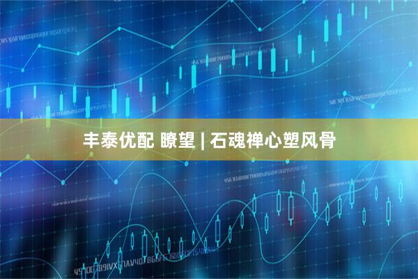 丰泰优配 瞭望 | 石魂禅心塑风骨