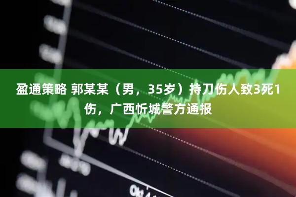 盈通策略 郭某某（男，35岁）持刀伤人致3死1伤，广西忻城警方通报