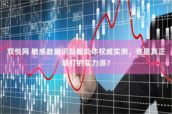 双悦网 敏感数据识别智能体权威实测，谁是真正能打的实力派？